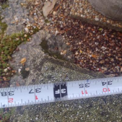 Curved Concrete Garden Sitting Bench- Choice A