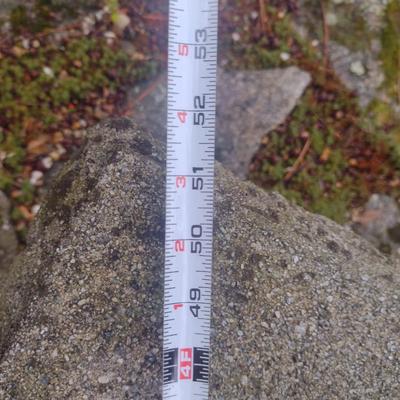 Curved Concrete Garden Sitting Bench- Choice B