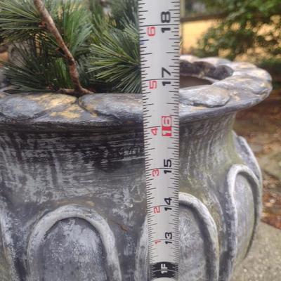 Resin Urn Planter with Live Evergreen Seedling