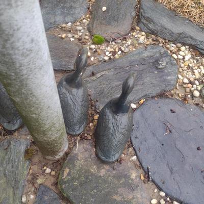 Family of Cast Metal Ducks- 4 Pieces