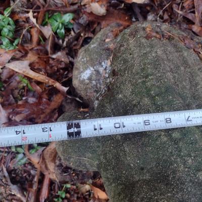 Large, Heavy Concrete Frog Statue