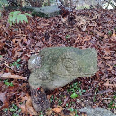 Large, Heavy Concrete Frog Statue