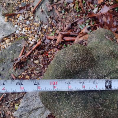 Large, Heavy Concrete Frog Statue