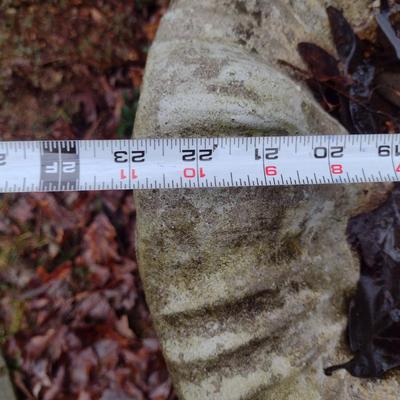 Concrete Bird Bath