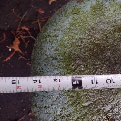 Concrete Mushroom Design Garden Decor/Bird Feeder