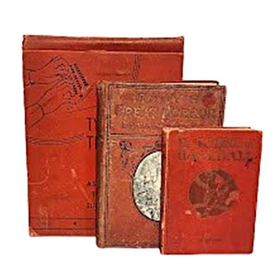 3 Antique Books: The Science of Baseball, Italy's Great Horror of Earthquakes and Tidal Waves & Typewriting Techniques