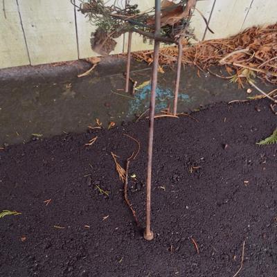 Twisted Metal Garden Plant Topiary with Finial