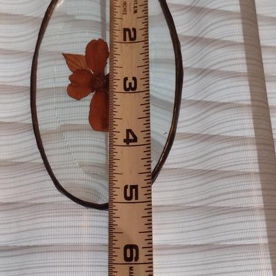 Pair of Glass and Botanical Hanging Window Decor