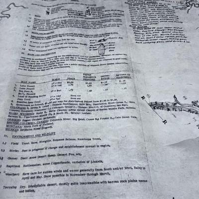 1964 Hand Drawn MAP of Lake Powell MONUMENTAL Deal! 