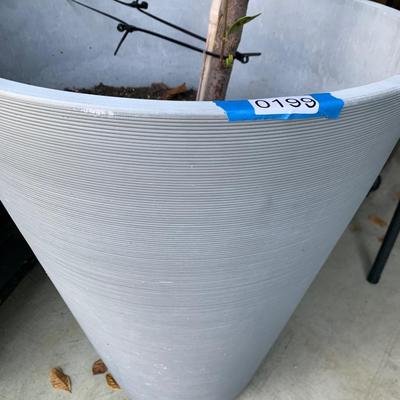 22â€ Plant Pot With Gardenia