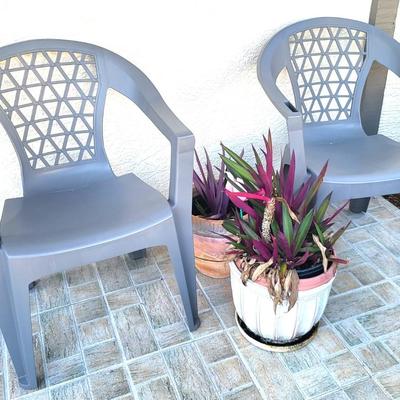 2 Gray Outdoor Chairs with 2 Potted Plants