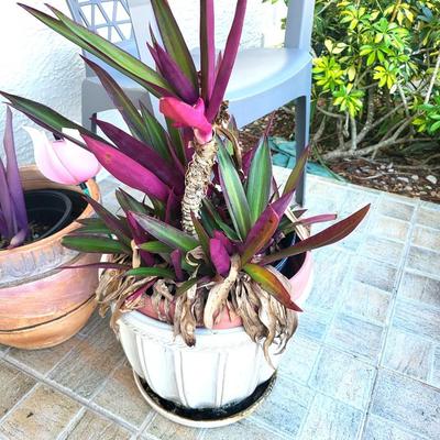 2 Gray Outdoor Chairs with 2 Potted Plants