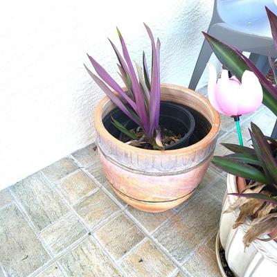 2 Gray Outdoor Chairs with 2 Potted Plants