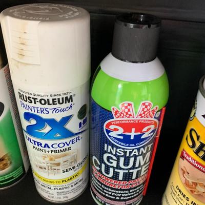 Household Products / Spray Paint Lot