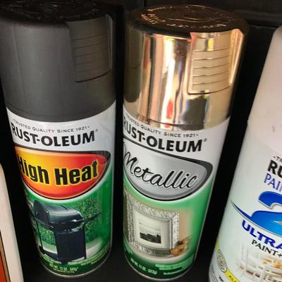 Household Products / Spray Paint Lot