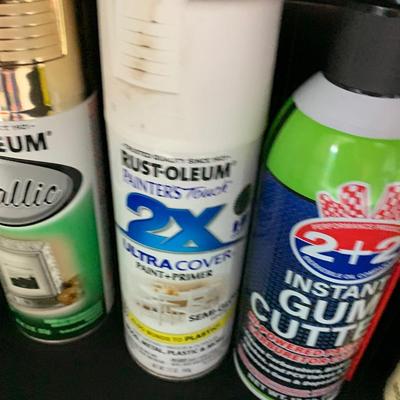 Household Products / Spray Paint Lot