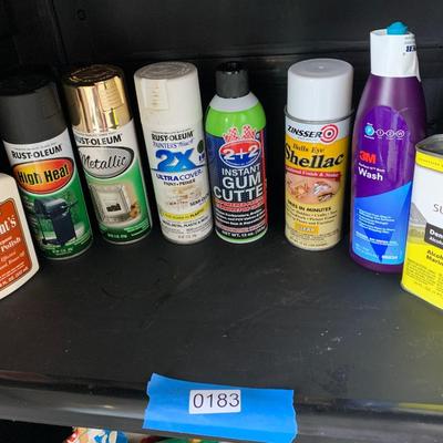 Household Products / Spray Paint Lot