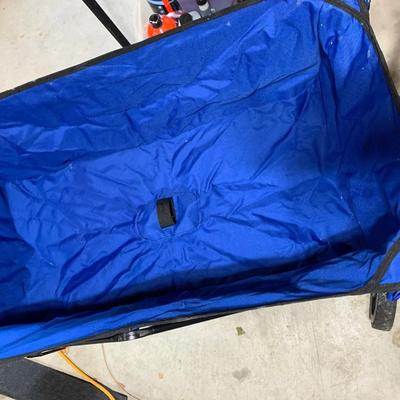 Collapsable Wagon w/ Carry Bag