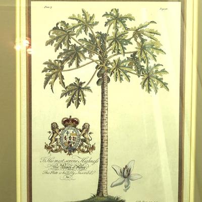 2 Pieces of Wall Decor