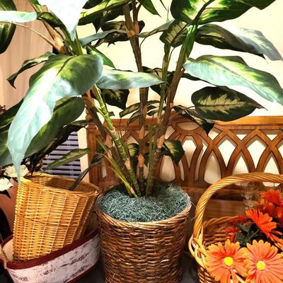 Pot/Basket Lot
