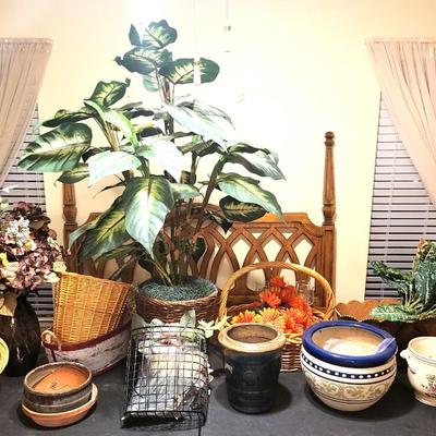 Pot/Basket Lot