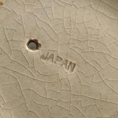 Glazed Japanese Ceramic Tea Pot with Cups