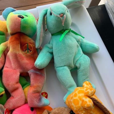 Beanie Baby Collection