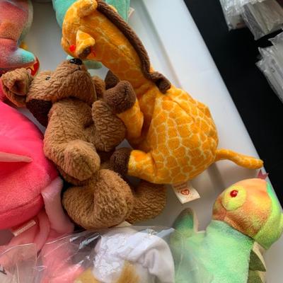 Beanie Baby Collection
