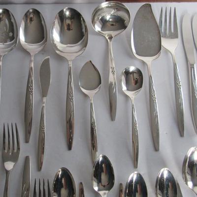 Vintage Gentle Rose Pattern, Oneida Silverplate Service for 8 Plus 8 Serving Pieces, Nice