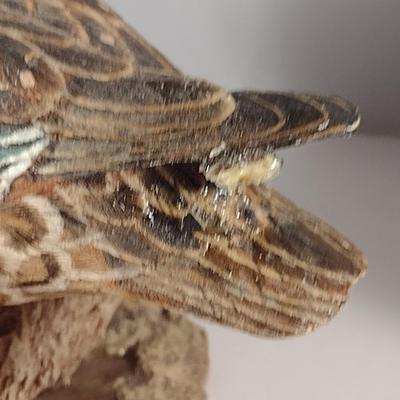 Pair of Duck Theme Resin Bookends