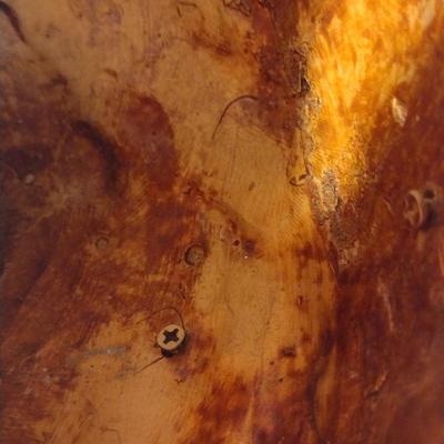 Collection of Wooden Fruit with Decorative Resin Pedestal Bowl