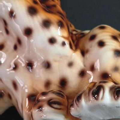 LOT 42: Lynn Chase Leopard Salt and Pepper Shakers, Boehm Lion Cub, Italian Pottery Leopard Cub & More