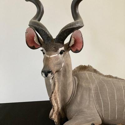 LOT 78: Unique Vintage Greater Kudu Sculpture by Heidi E. Uotila
