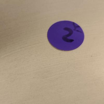 Painted Goose Creek Wooden Goose Decoy (#2)