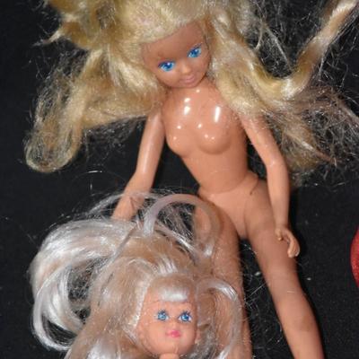 Mini Barbie's & Clothes