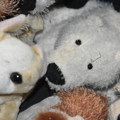 Plush Animals