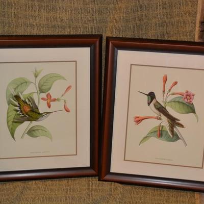 Set of 2 Hummingbird & Bloom Framed and Matted 30.5"x26.5"