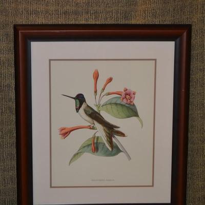 Set of 2 Hummingbird & Bloom Framed and Matted 30.5"x26.5"