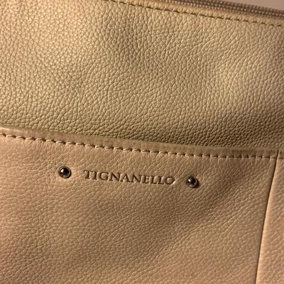 Tignanello & Etienne Aigner Designer Handbags (PC-HS)