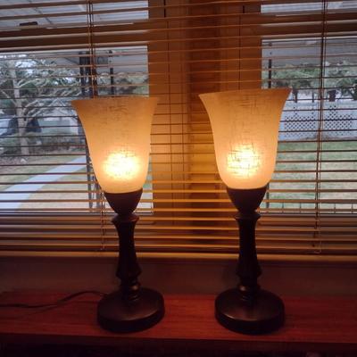 Pair of Table Top Torchiere Style Lamps with Touch On/Off Activation