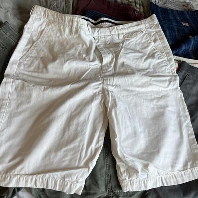 11 Pairs Menâ€™s Shorts XL - Ben Sherman, Tommy Bahama