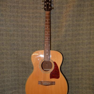 IBANEZ AC12-NT Artwood Acoustic Guitar with Hard Shell Gig Bag