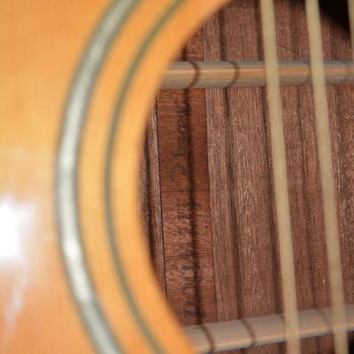 IBANEZ AC12-NT Artwood Acoustic Guitar with Hard Shell Gig Bag