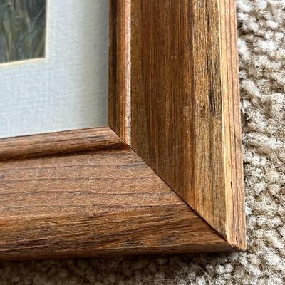 Vintage Framed Duck Print