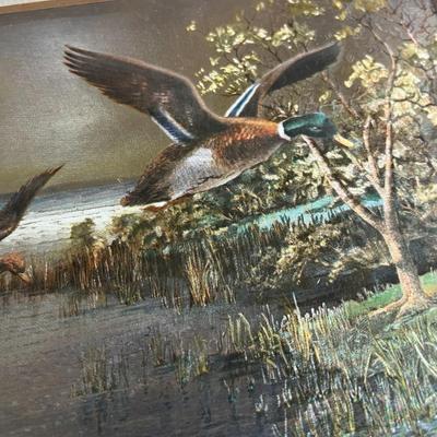 Vintage Framed Duck Print
