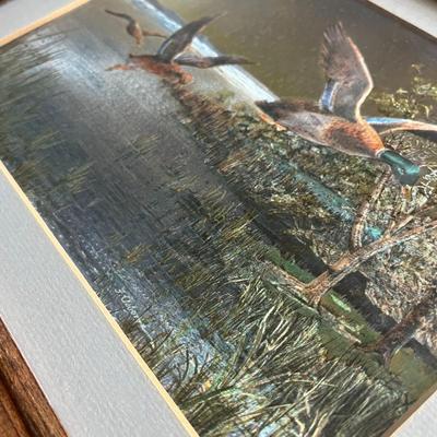 Vintage Framed Duck Print