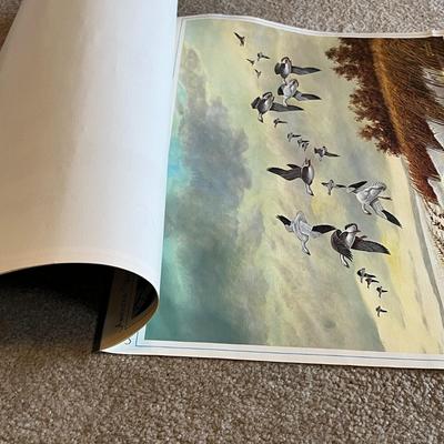 American Waterfowl Prints