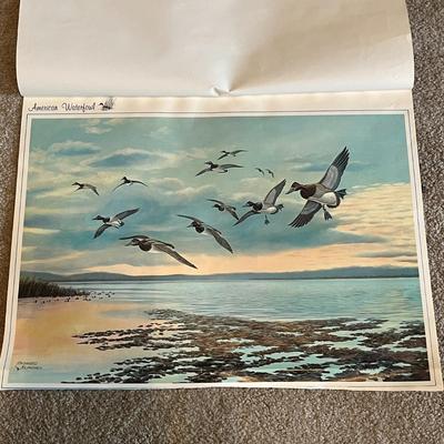 American Waterfowl Prints