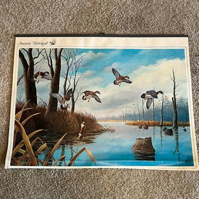 American Waterfowl Prints