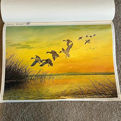 American Waterfowl Prints